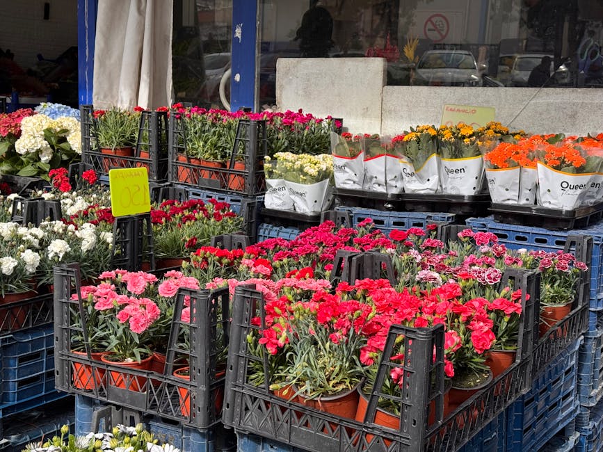 A display of various potted flowers arranged in black plastic crates outside a flower shop. The flowers include bright pinks, reds, whites, and oranges, with some in white paper wrapping labeled 'Quee