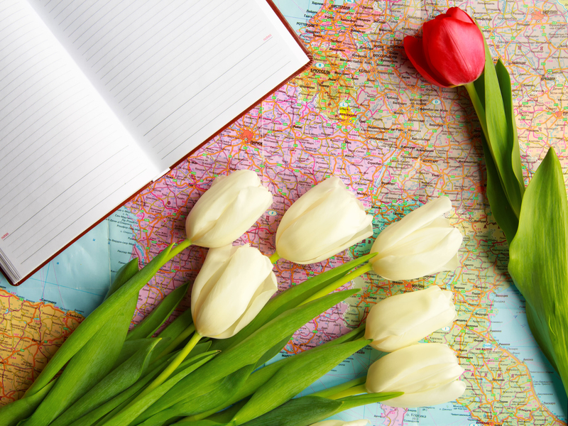 https://flowerdeliverybexley.co.uk/blog/each-hue-of-peony-flowers-tells-a-story-of-its-own/