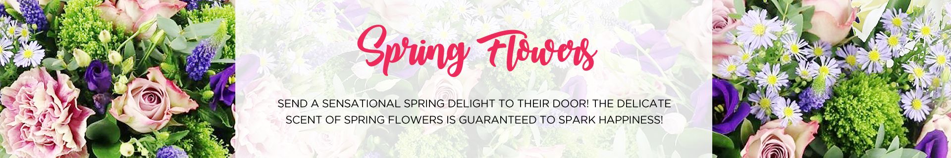 spring_flowers_banner.jpg